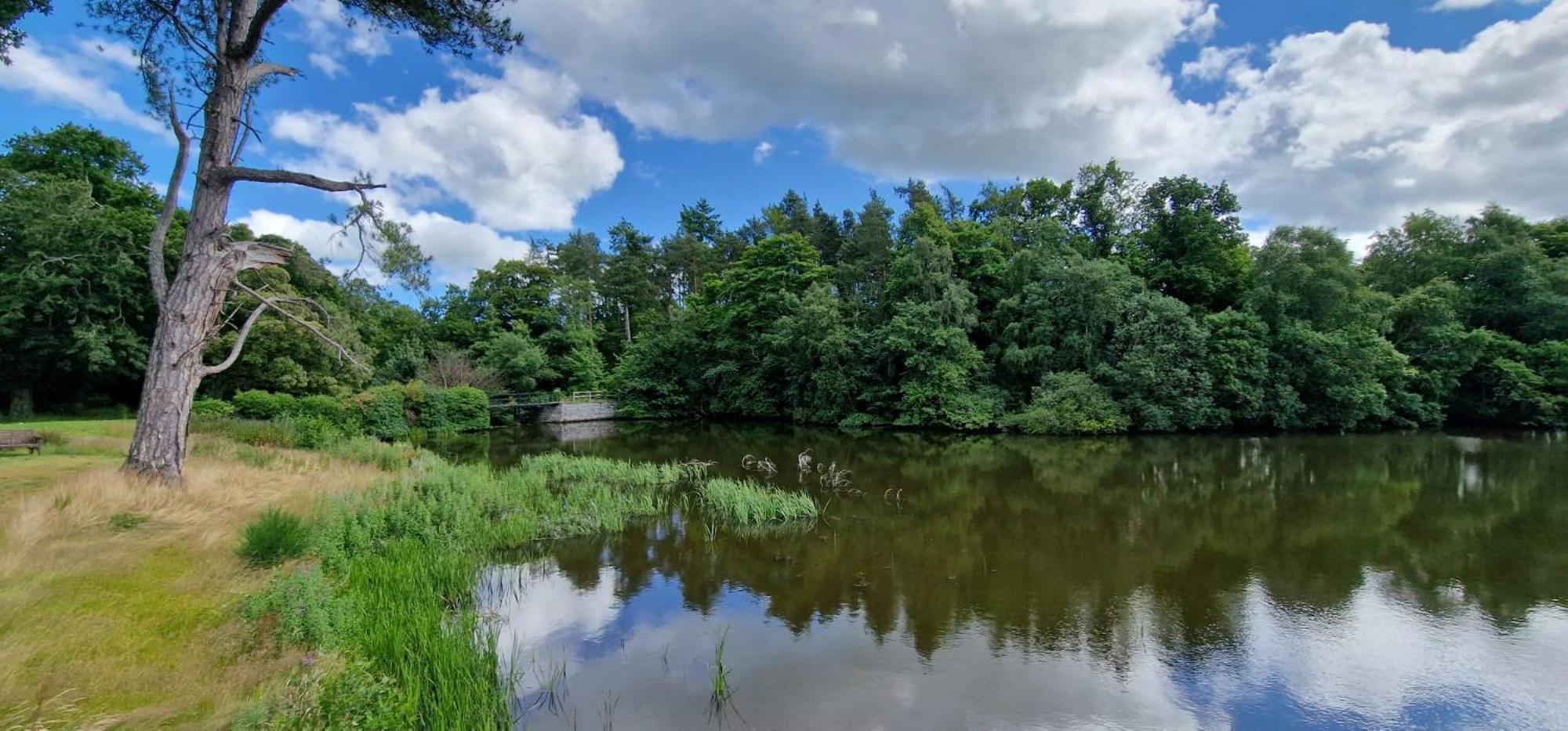 Дом отдыха Otters Cove, Middleton Hall Estate